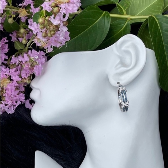 NWT Savvy Cie Rhodium Plated Pave Blue Crystal & SilverTone Hoop Earrings - Picture 9 of 12